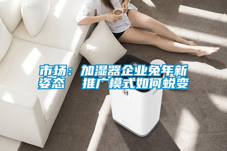 市場(chǎng):加濕器企業(yè)兔年新姿態(tài) 推廣模式如何蛻變