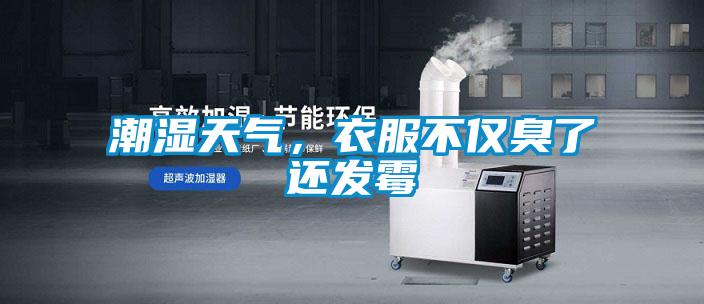潮濕天氣，衣服不僅臭了還發(fā)霉