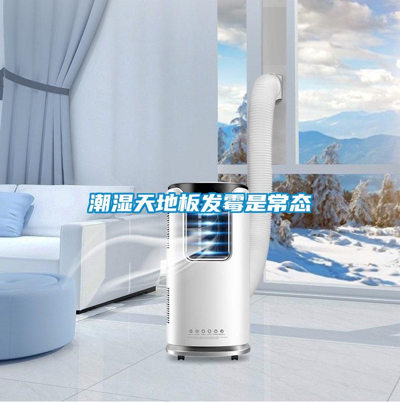 潮濕天地板發霉是常態