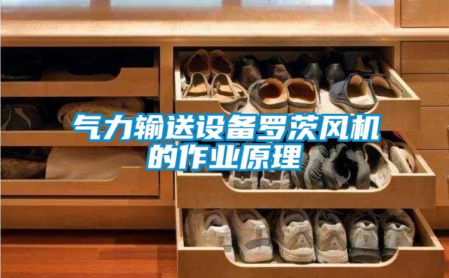 氣力輸送設備羅茨風機的作業(yè)原理