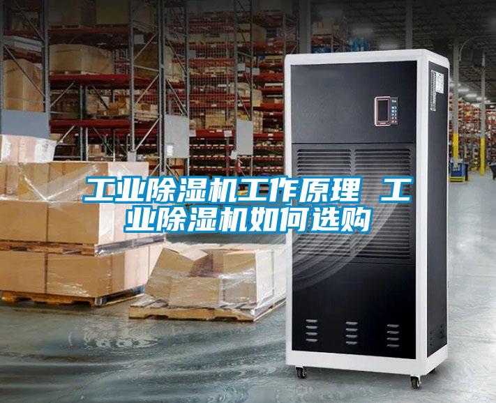 工業除濕機工作原理 工業除濕機如何選購