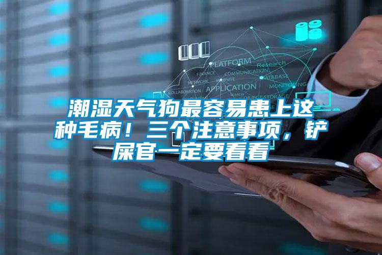 潮濕天氣狗最容易患上這種毛病!三個注意事項,鏟屎官一定要看看