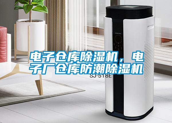 電子倉庫除濕機，電子廠倉庫防潮除濕機