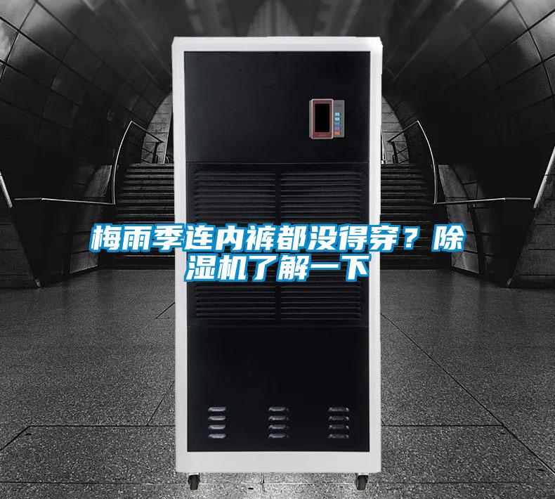 梅雨季連內褲都沒得穿？除濕機了解一下