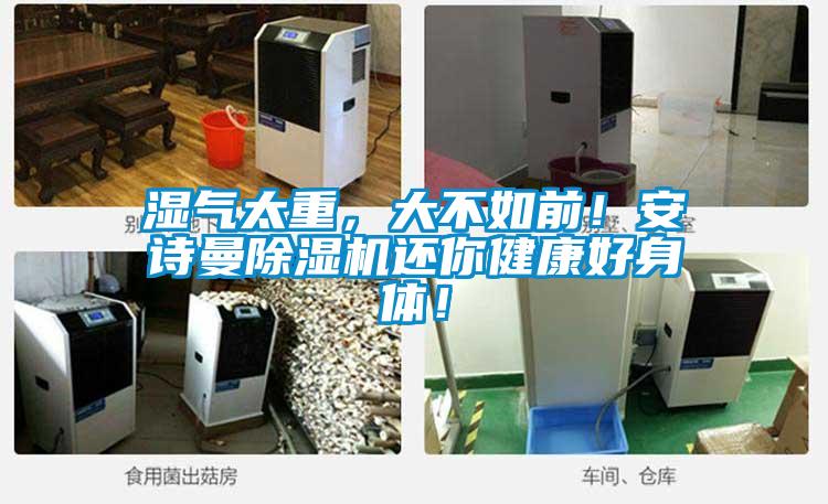 濕氣太重,大不如前!安詩(shī)曼除濕機(jī)還你健康好身體!
