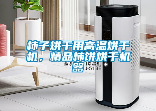 柿子烘干用高溫烘干機，精品柿餅烘干機器