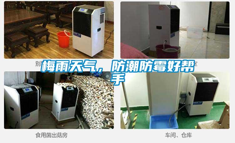 梅雨天氣,防潮防霉好幫手