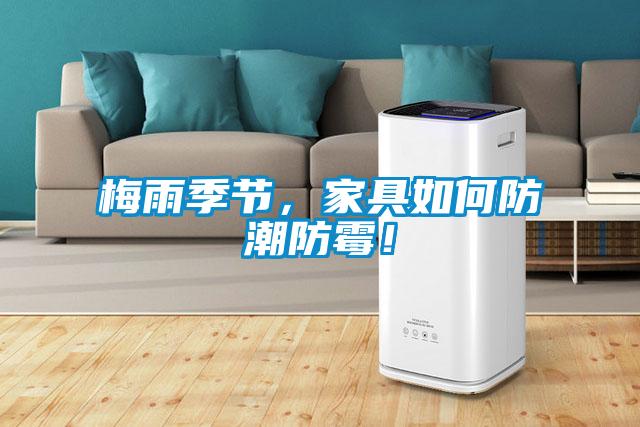 梅雨季節，家具如何防潮防霉！