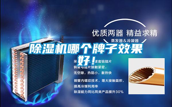 除濕機哪個牌子效果好！
