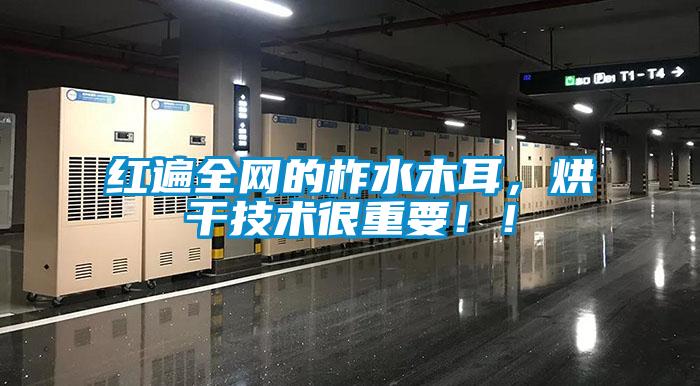 紅遍全網(wǎng)的柞水木耳，烘干技術(shù)很重要！！