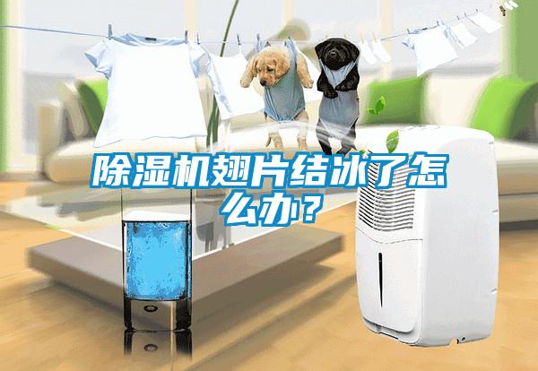 除濕機翅片結冰了怎么辦?