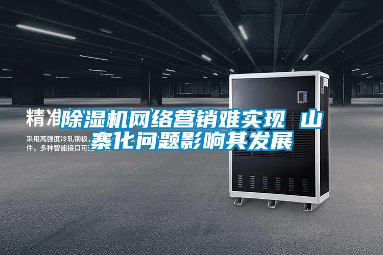 除濕機網絡營銷難實現 山寨化問題影響其發展