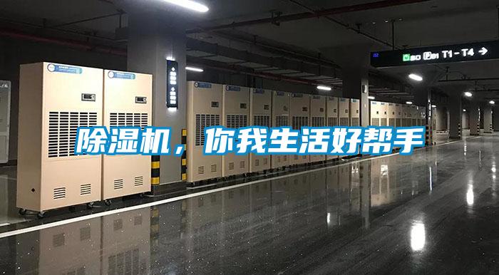 除濕機，你我生活好幫手