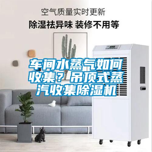 車間水蒸氣如何收集?吊頂式蒸汽收集除濕機