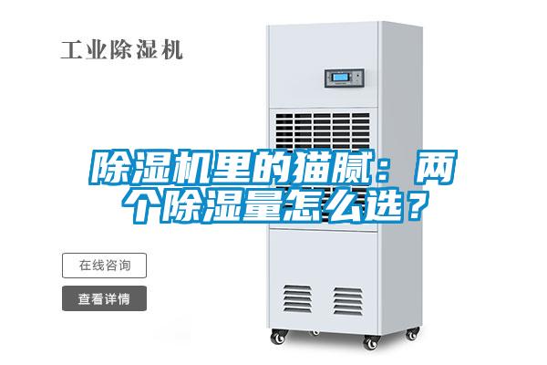 除濕機里的貓膩:兩個除濕量怎么選?