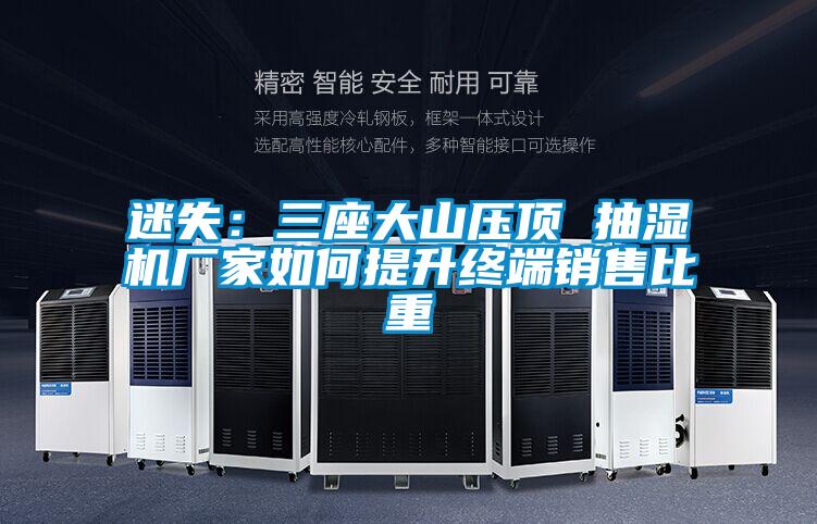 迷失:三座大山壓頂 抽濕機廠家如何提升終端銷售比重
