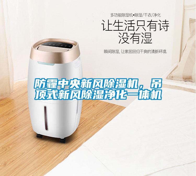 防霾中央新風(fēng)除濕機(jī),吊頂式新風(fēng)除濕凈化一體機(jī)