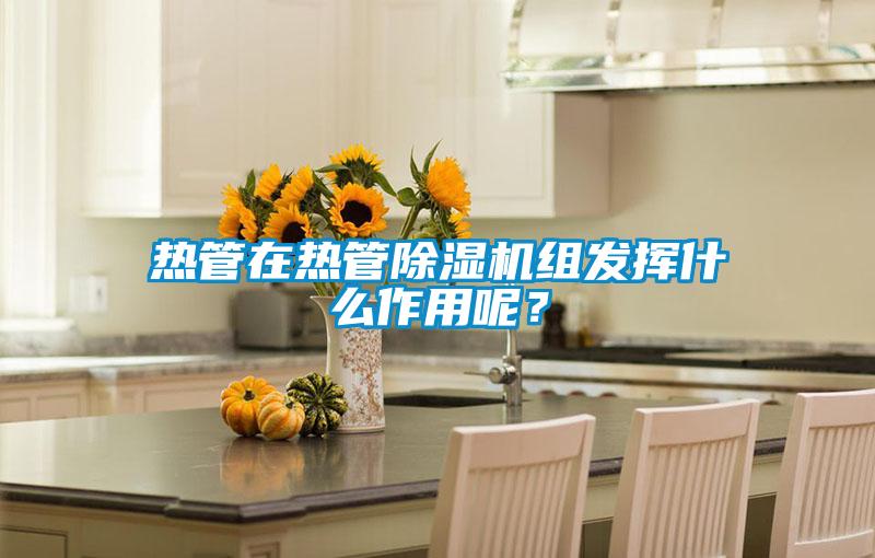 熱管在熱管除濕機組發揮什么作用呢?