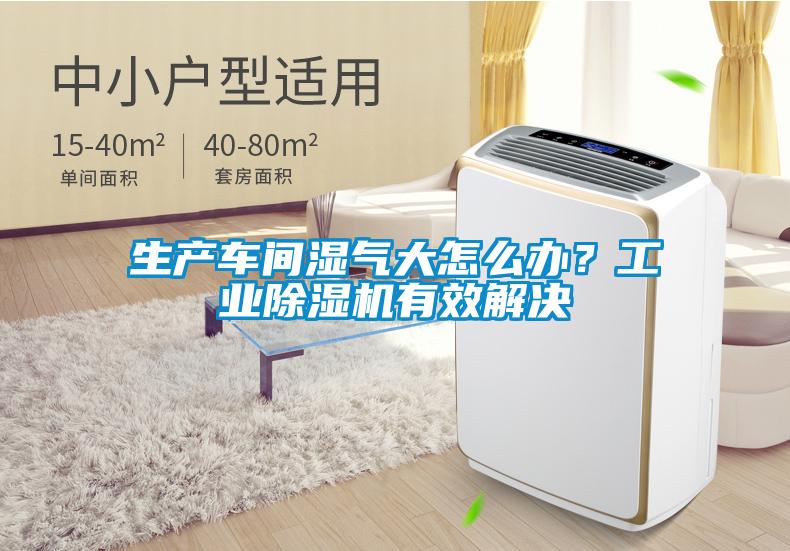 生產車間濕氣大怎么辦？工業除濕機有效解決