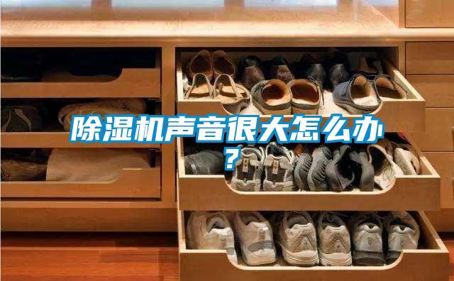 除濕機聲音很大怎么辦?