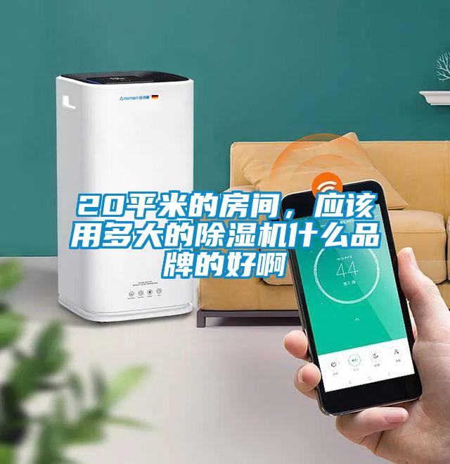 20平米的房間，應該用多大的除濕機什么品牌的好啊