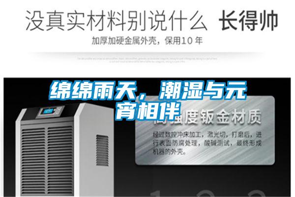 綿綿雨天，潮濕與元宵相伴