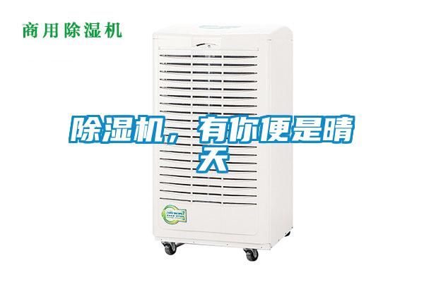 除濕機(jī)，有你便是晴天