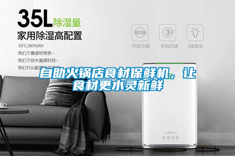 自助火鍋店食材保鮮機，讓食材更水靈新鮮