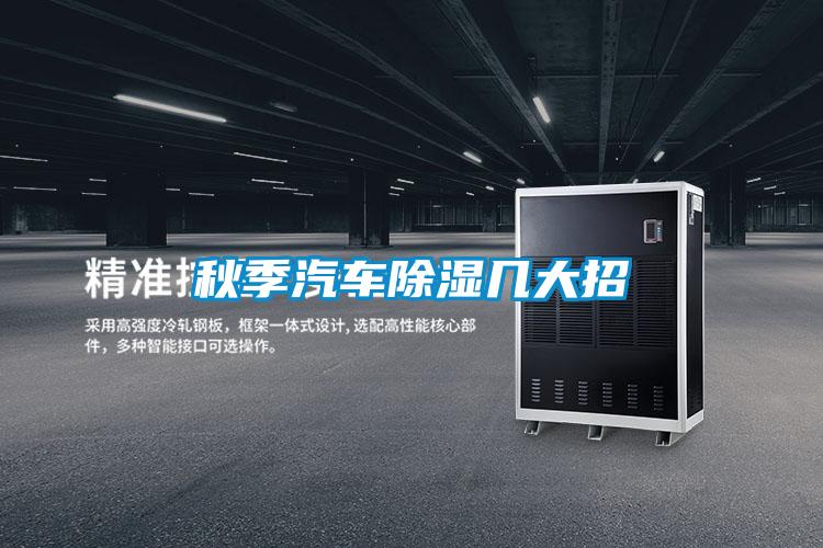 秋季汽車(chē)除濕幾大招