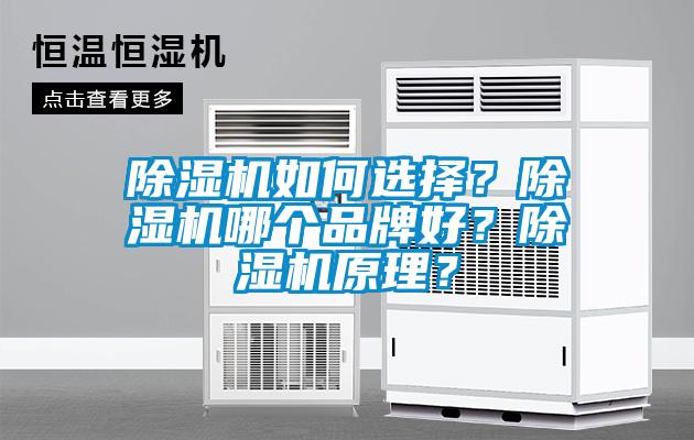 除濕機如何選擇?除濕機哪個品牌好?除濕機原理?