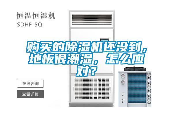 購買的除濕機還沒到,地板很潮濕,怎么應對?