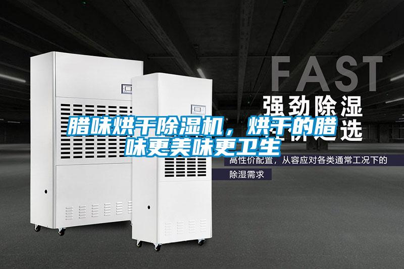 臘味烘干除濕機,烘干的臘味更美味更衛生