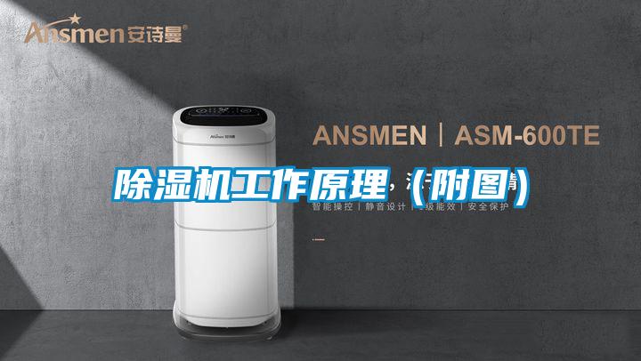除濕機工作原理(附圖)