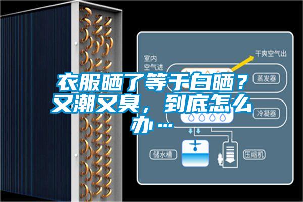 衣服曬了等于白曬?又潮又臭,到底怎么辦…