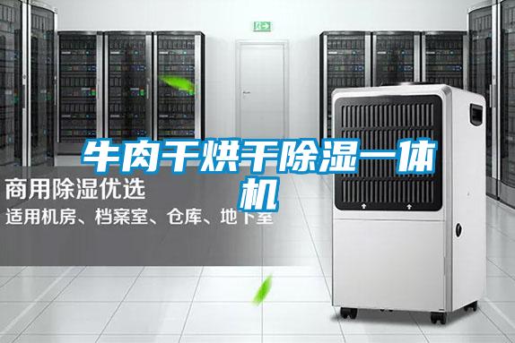 牛肉干烘干除濕一體機