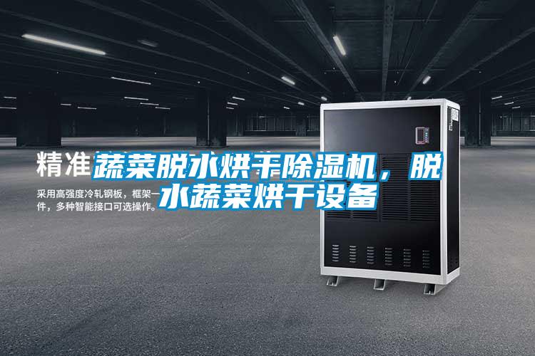 蔬菜脫水烘干除濕機，脫水蔬菜烘干設備