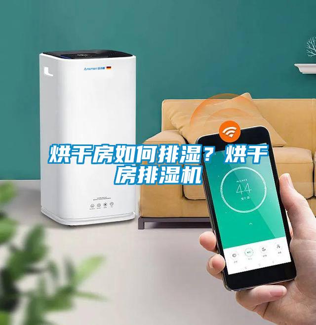 烘干房如何排濕?烘干房排濕機