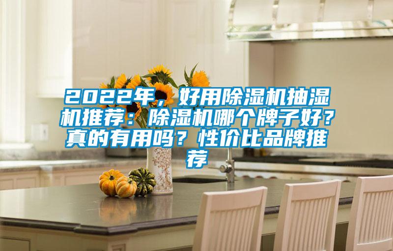 2022年，好用除濕機抽濕機推薦：除濕機哪個牌子好？真的有用嗎？性價比品牌推薦