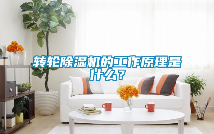 轉輪除濕機的工作原理是什么？