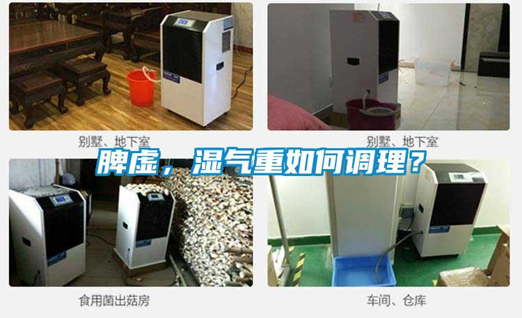 脾虛,濕氣重如何調理?