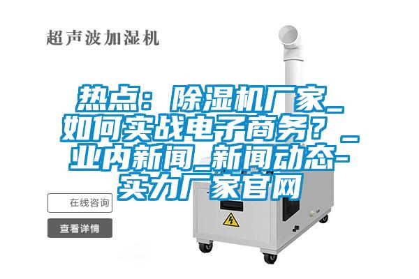 熱點(diǎn):除濕機(jī)廠家_如何實(shí)戰(zhàn)電子商務(wù)?_業(yè)內(nèi)新聞_新聞動(dòng)態(tài)-實(shí)力廠家官網(wǎng)