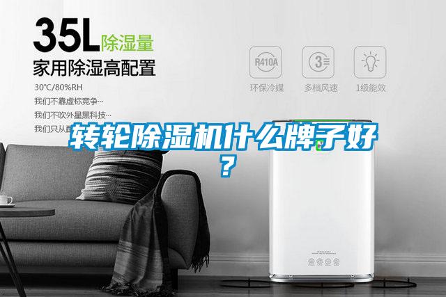 轉輪除濕機什么牌子好？