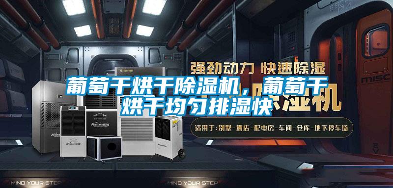 葡萄干烘干除濕機，葡萄干烘干均勻排濕快