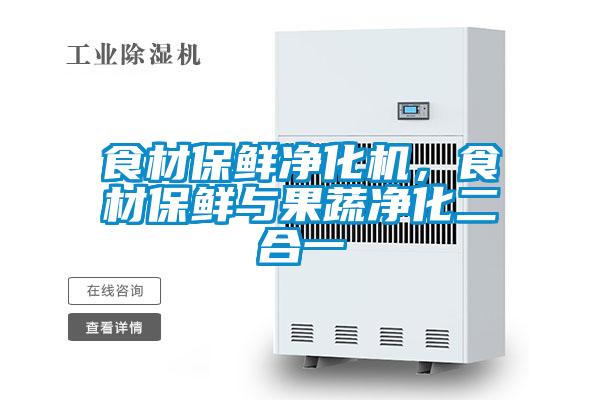 食材保鮮凈化機,食材保鮮與果蔬凈化二合一