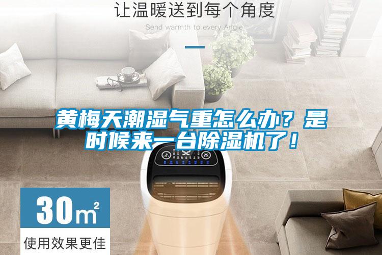 黃梅天潮濕氣重怎么辦?是時(shí)候來一臺(tái)除濕機(jī)了!