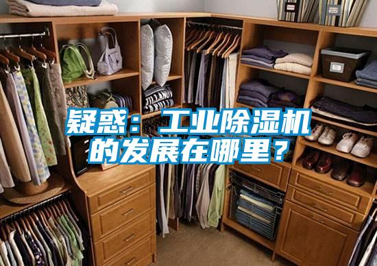 疑惑：工業除濕機的發展在哪里？