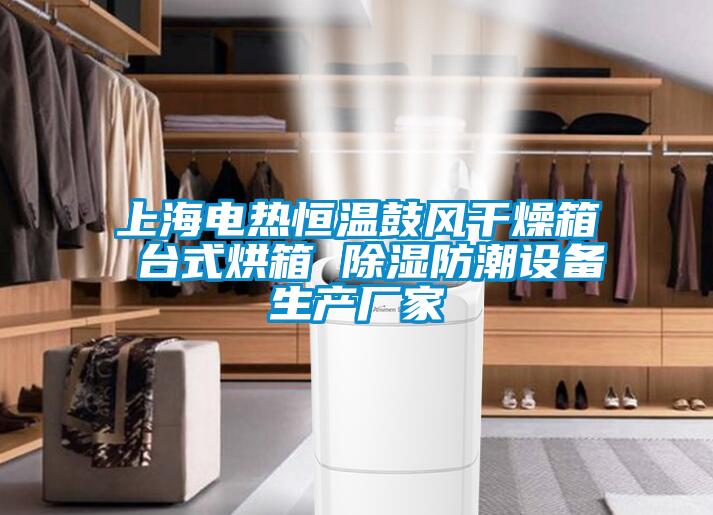 上海電熱恒溫鼓風干燥箱 臺式烘箱 除濕防潮設備生產廠家