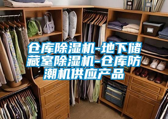 倉庫除濕機-地下儲藏室除濕機-倉庫防潮機供應產品