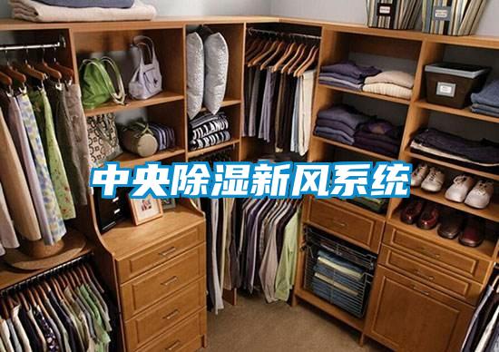 中央除濕新風系統