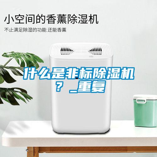什么是非標除濕機?_重復